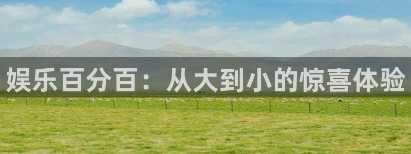 壹号下载安装：娱乐百分百：从大到小的惊喜体验