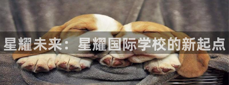 杏宇充值怎么退款：星耀未来：星耀国际学校的新起点