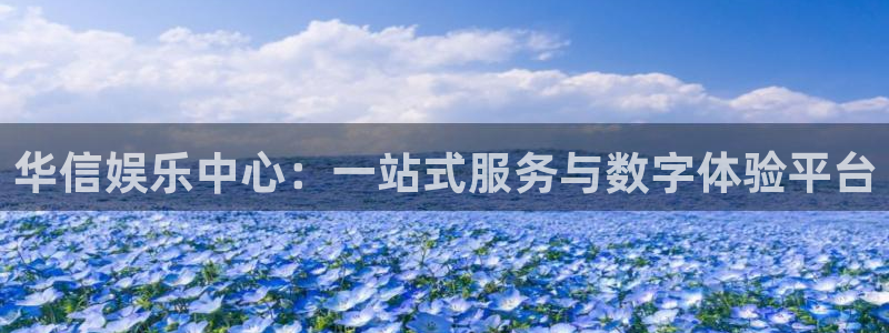 壹号app下载苹果：华信娱乐中心：一站式服务与数字体验平台