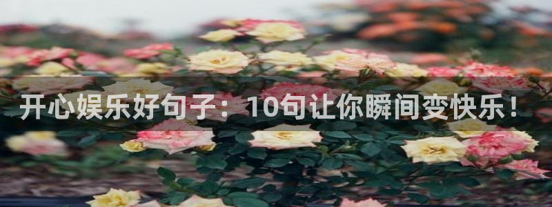 杏宇app下载安装：开心娱乐好句子：10句让你瞬间变快乐！