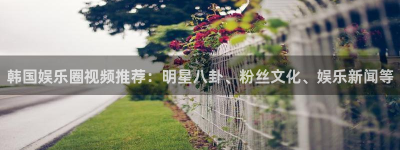 壹号大舞台：韩国娱乐圈视频推荐：明星八卦、粉丝文化、娱乐新闻等