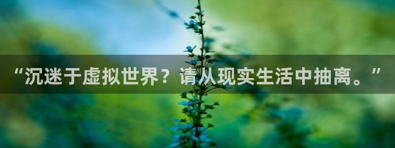 杏宇官网入口：“沉迷于虚拟世界？请从现实生活中抽离。”