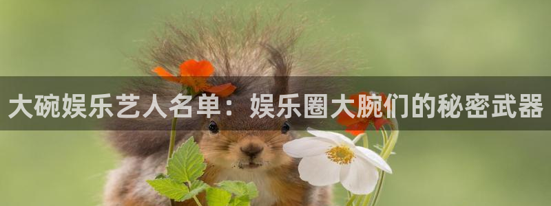 杏宇app：大碗娱乐艺人名单：娱乐圈大腕们的秘密武器