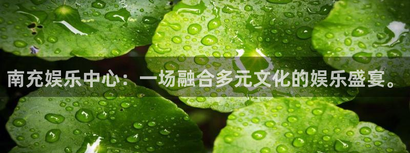 壹号app下载：南充娱乐中心：一场融合多元文化的娱乐盛宴。