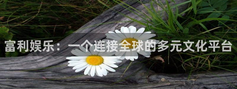 壹号平台下载安装：富利娱乐：一个连接全球的多元文化平台