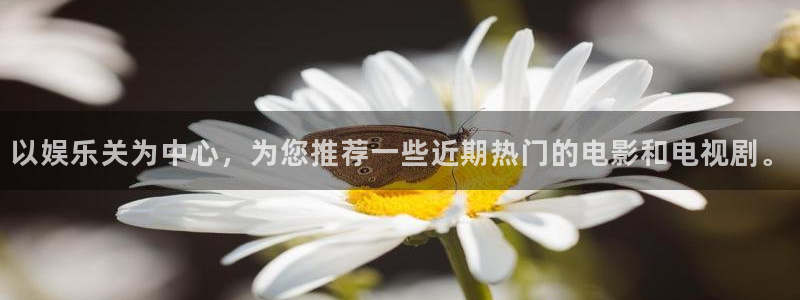 壹号电子娱乐app：以娱乐关为中心，为您推荐一些近期热门的电影和电视剧。
