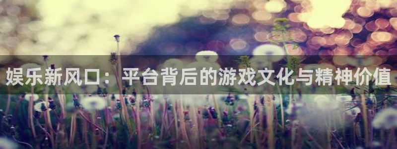 壹号大舞台入口：娱乐新风口：平台背后的游戏文化与精神价值