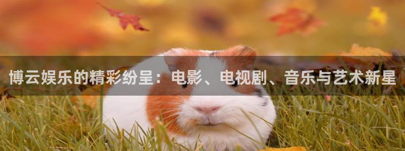壹号国际app免费下载安装：博云娱乐的精彩纷呈：电影、电视剧、音乐与艺术新星