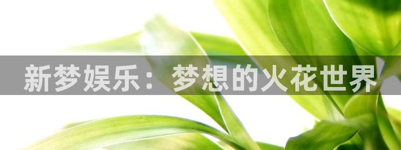 壹号电子娱乐app下载：新梦娱乐：梦想的火花世界