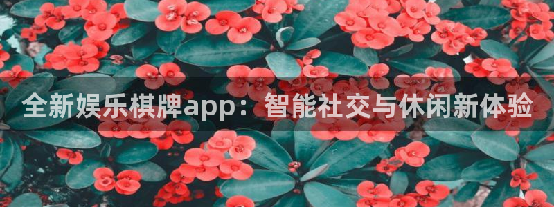 杏宇下载：全新娱乐棋牌app：智能社交与休闲新体验