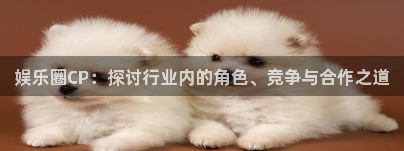 壹号电子娱乐app下载最新版本：娱乐圈CP：探讨行业内的角色、竞争与合作之道
