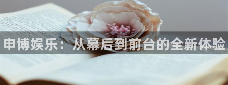 壹号大舞台娱乐app下载安装：申博娱乐：从幕后到前台的全新体验