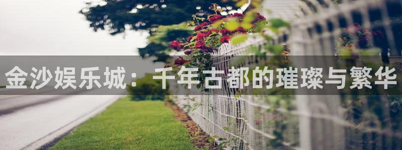杏宇官网入口