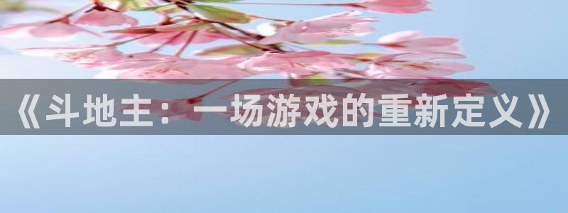 杏宇.com：《斗地主：一场游戏的重新定义》