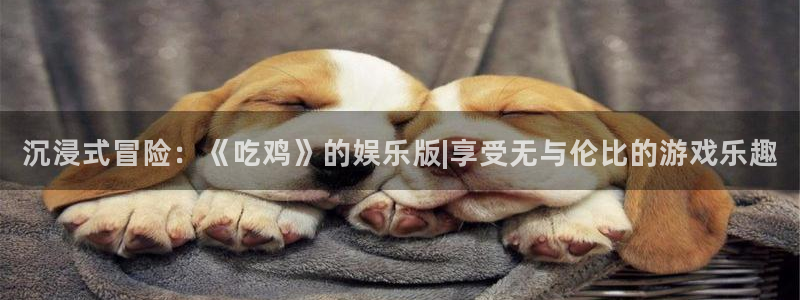 杏宇退款怎么退