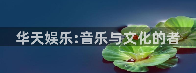 杏宇官网入口