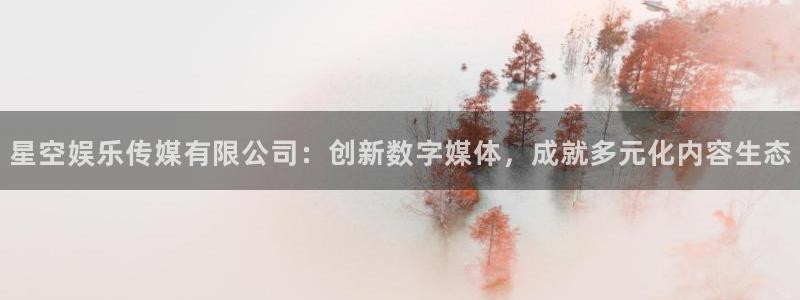 壹号国际app免费下载安装：星空娱乐传媒有限公司：创新数字媒体，成就多元化内容生态