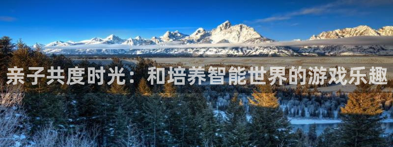 杏宇网址：亲子共度时光：和培养智能世界的游戏乐趣
