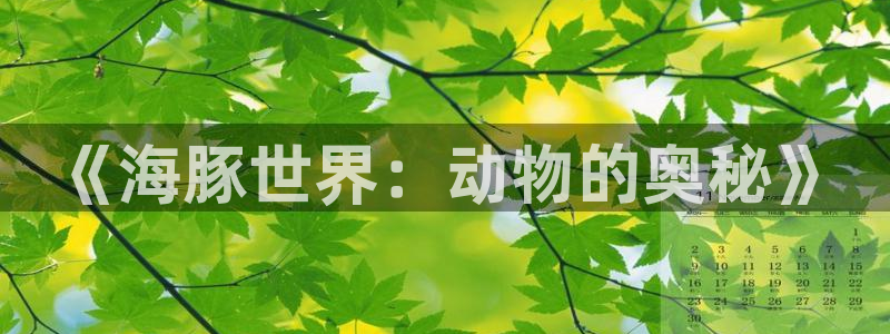 杏宇下载：《海豚世界：动物的奥秘》