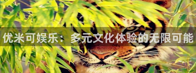 杏宇退款怎么退：优米可娱乐：多元文化体验的无限可能