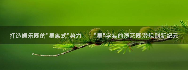 壹号大舞台娱乐传媒：打造娱乐圈的\
