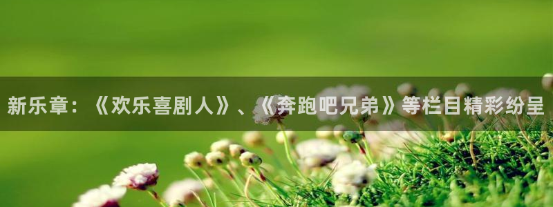 杏宇充值怎么退款：新乐章：《欢乐喜剧人》、《奔跑吧兄弟》等栏目精彩纷呈