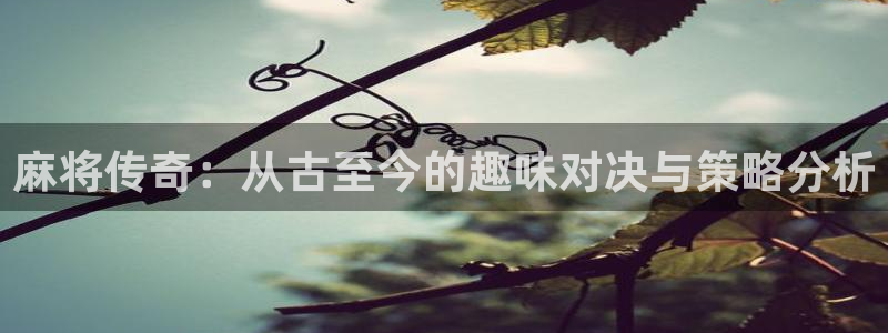 杏宇app下载：麻将传奇：从古至今的趣味对决与策略分析