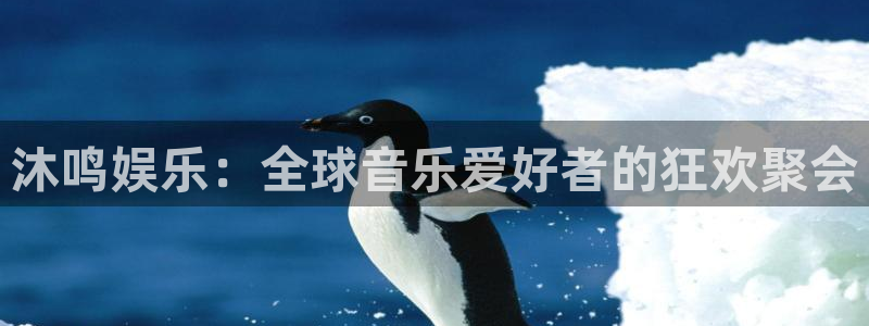 杏宇 - ng大舞台,有梦你就来：沐鸣娱乐：全球音乐爱好者的狂欢聚会